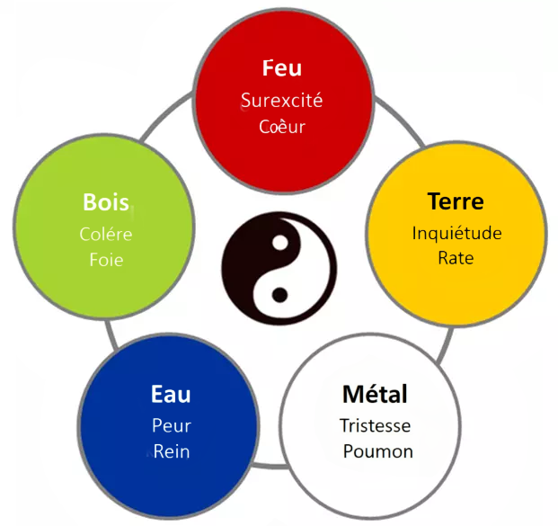 Elements et Emotions en MTC